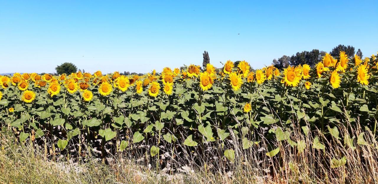 فيلا L'Instant Provence Valréas المظهر الخارجي الصورة